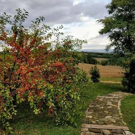 La Casa Di Arianna 4* Casole dʼElsa