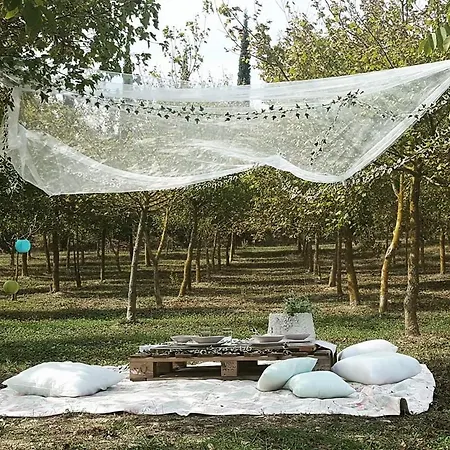 La Casa Di Arianna Bed & Breakfast Casole dʼElsa